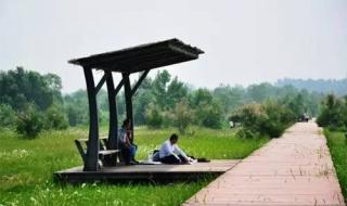 郑州黄河湿地公园